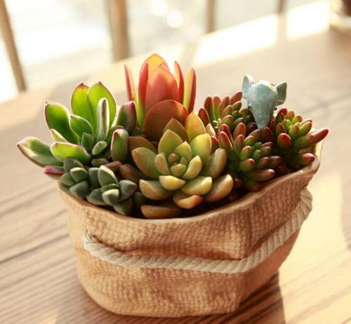 APPѹرգҪûһ˵Ļᡱ