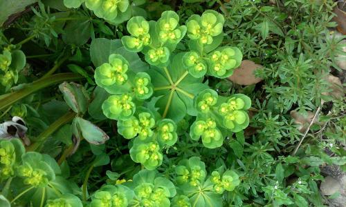 й½ϳƫ ȫůorȫ䣿