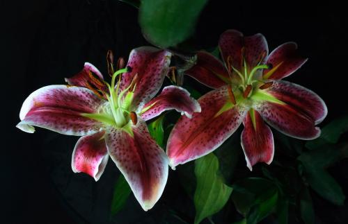 ҹȨͳһǼ202111ʵʩ