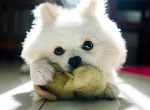 63ËêÈ¥Ö§½Ì£¡Õ㹤´óÍøºìË޹ܴóÊå×òÍíÈ¥¾®¸Ôɽ