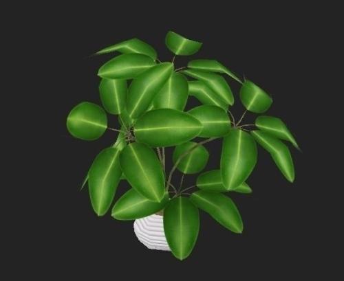 籩Ϯ ½߷ٳÿСʱ100